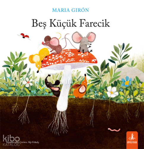 ikrakitabevi.com