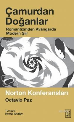 ikrakitabevi.com