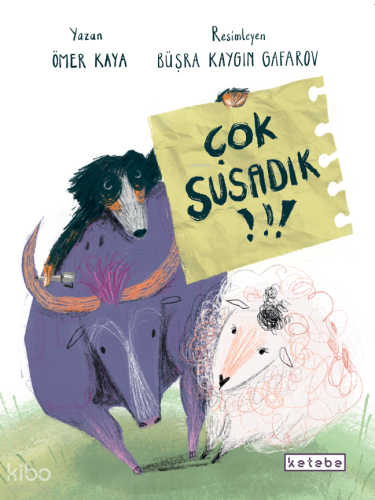 ikrakitabevi.com