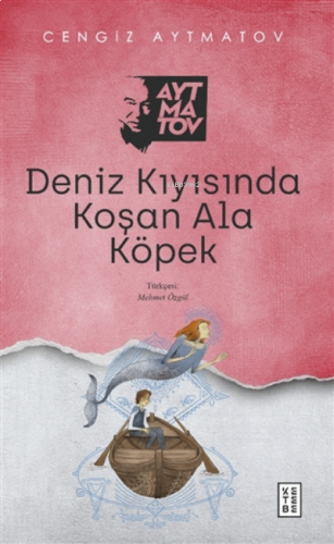 ikrakitabevi.com