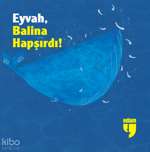 ikrakitabevi.com