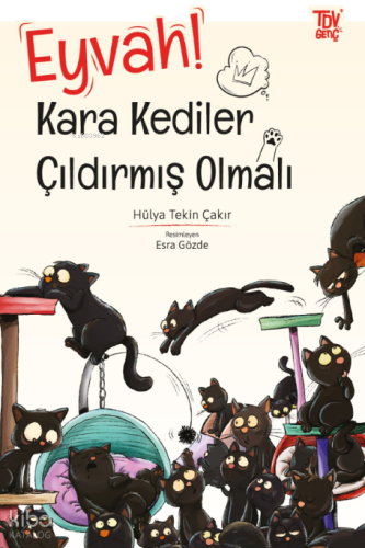 ikrakitabevi.com