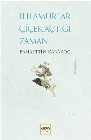 ikrakitabevi.com