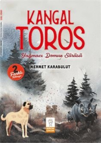 ikrakitabevi.com