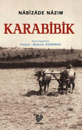 ikrakitabevi.com
