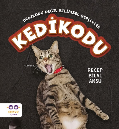 ikrakitabevi.com