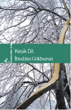 ikrakitabevi.com