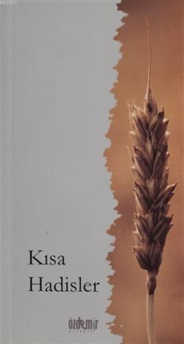 ikrakitabevi.com