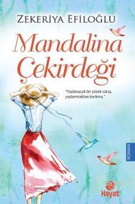 ikrakitabevi.com