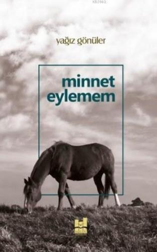 ikrakitabevi.com