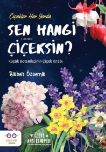 ikrakitabevi.com