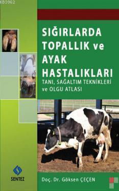 ikrakitabevi.com