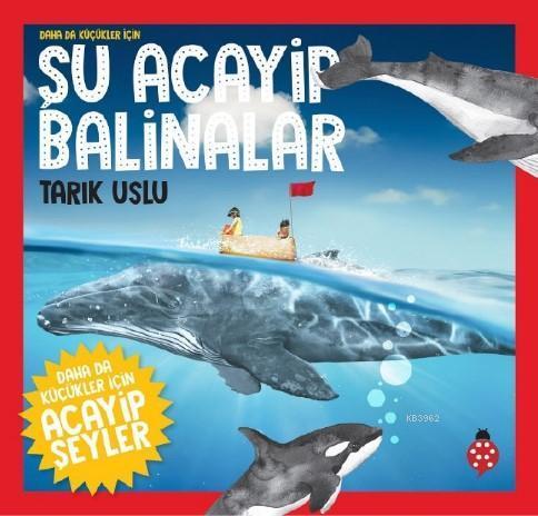 ikrakitabevi.com