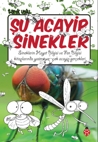 ikrakitabevi.com