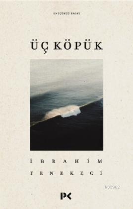 ikrakitabevi.com